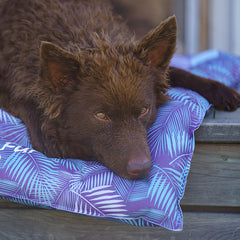 Foxy Fur Viilentävä koiranpeti reunuksilla, palmu